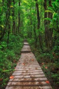 maui hawaii